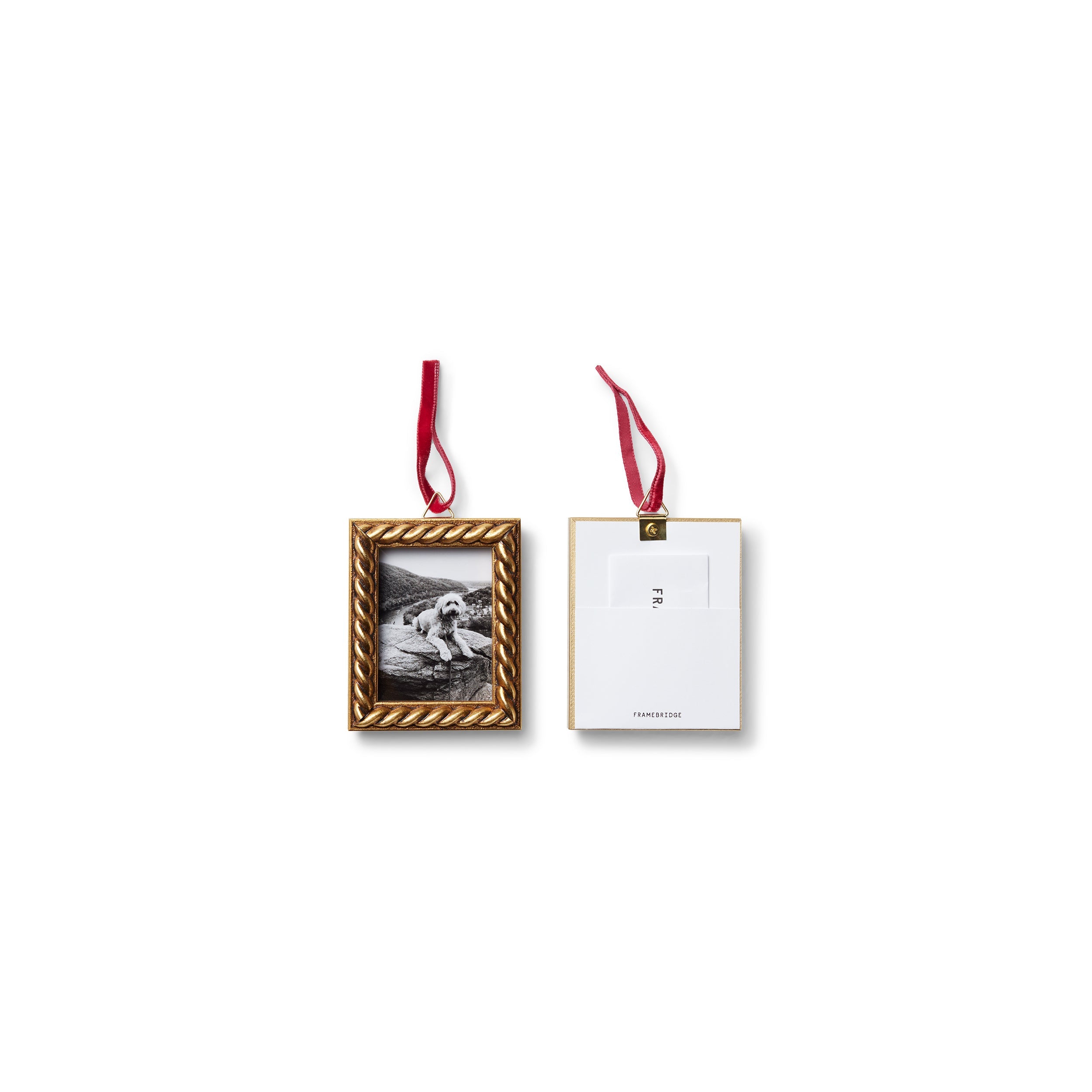 The Twelve Ornament Bundle