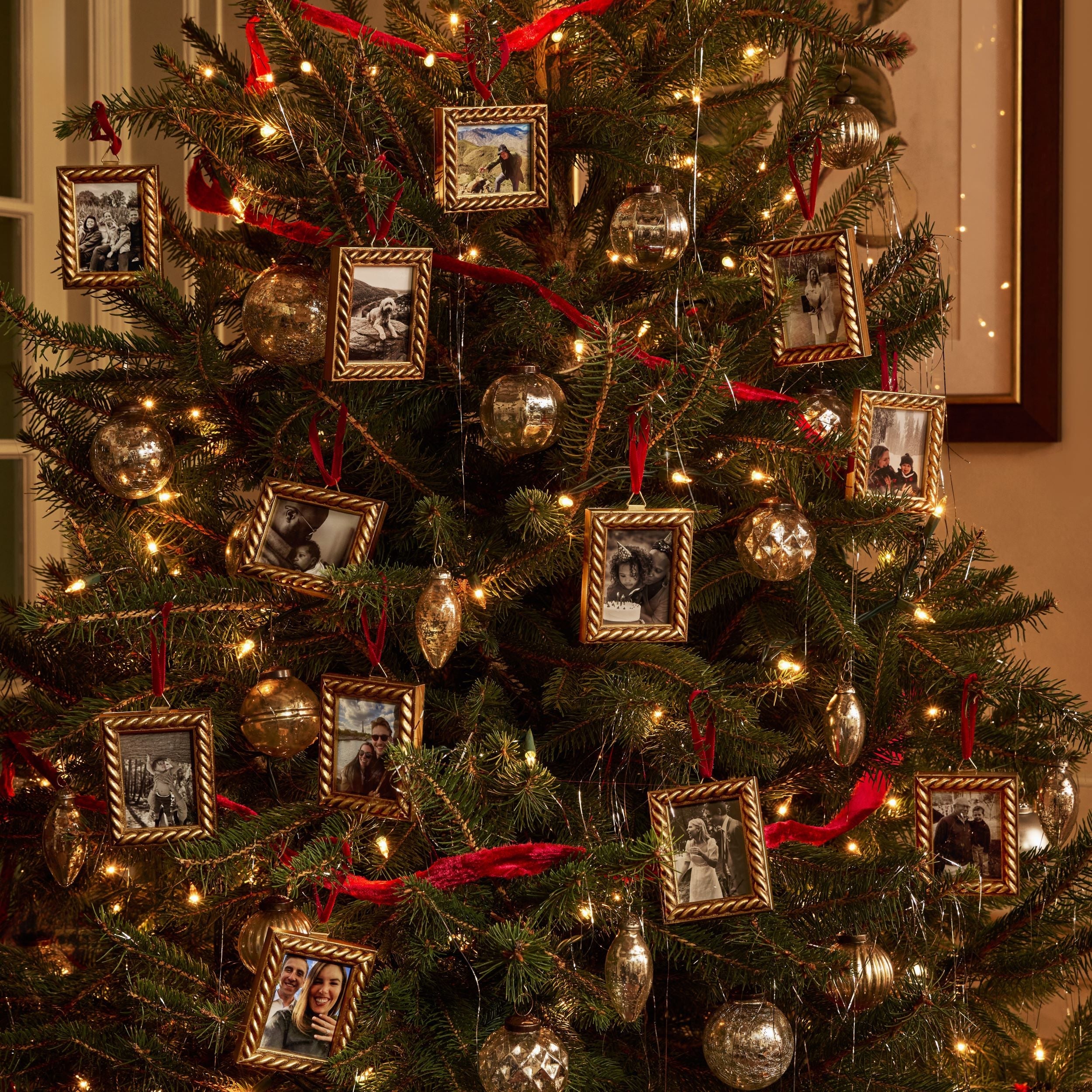 The Twelve Ornament Bundle