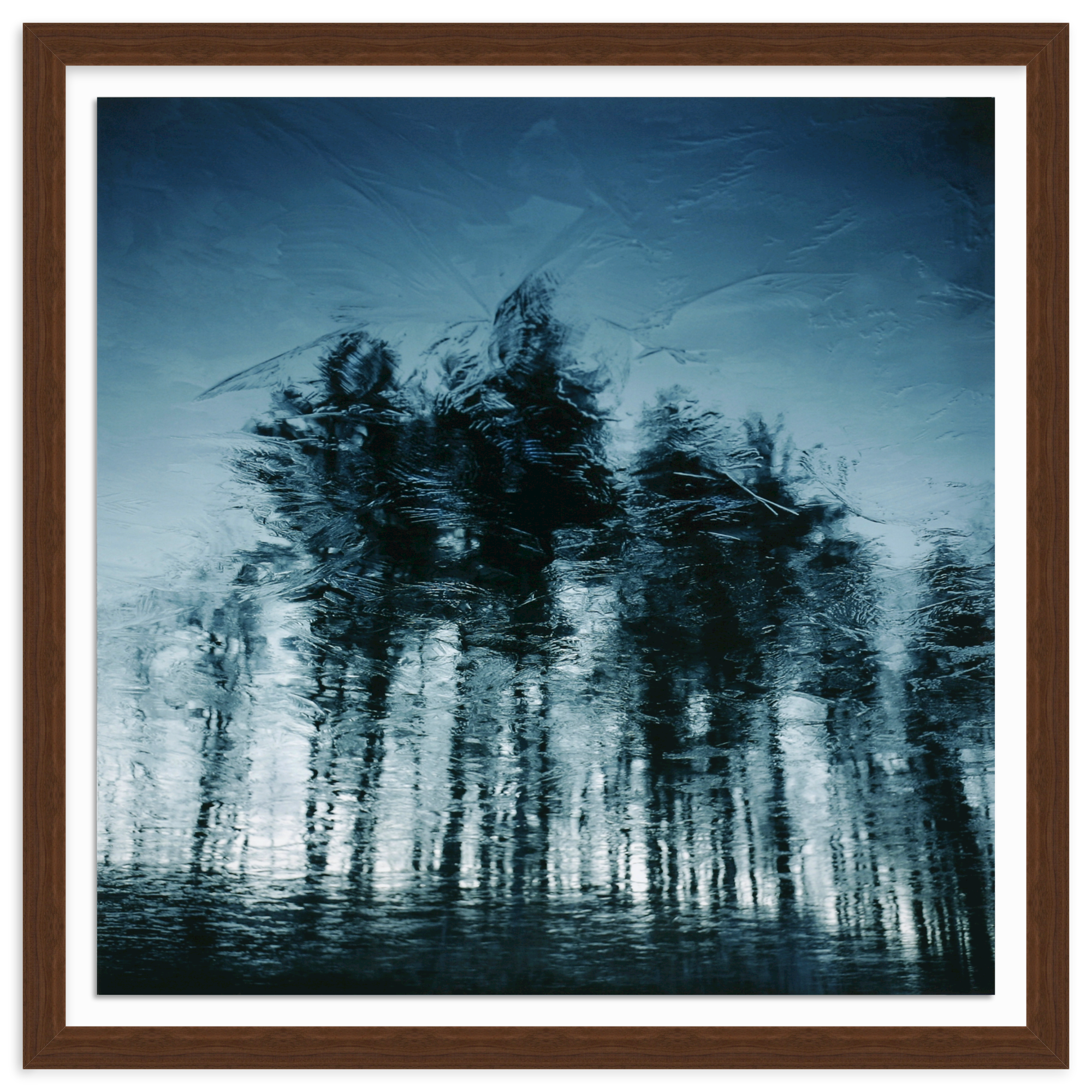 Walnut Wide / Float Mount / 39" x 39" | Walnut frame with nature art