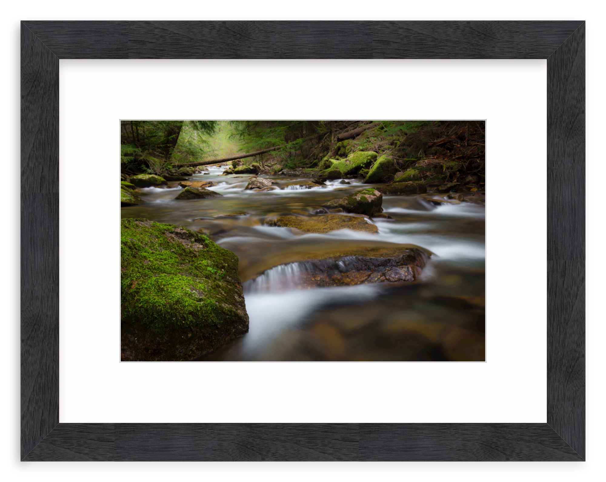 Black Walnut (Wide) / 18" x 12" | small creek with waterfall