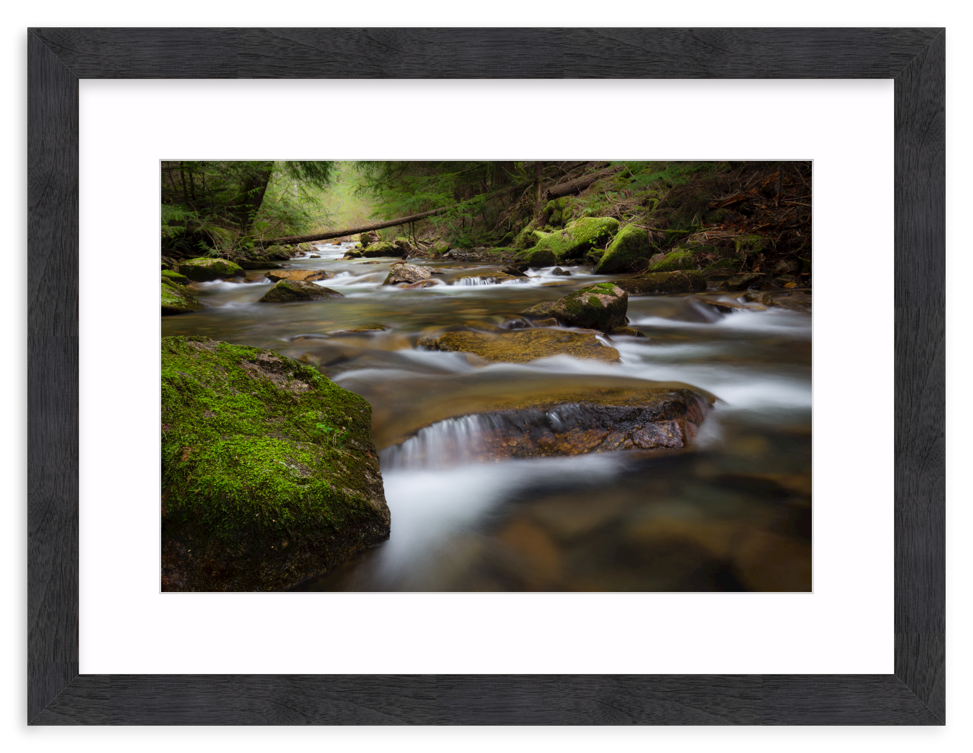 Black Walnut (Wide) / 24" x 16" | small waterfall and creek