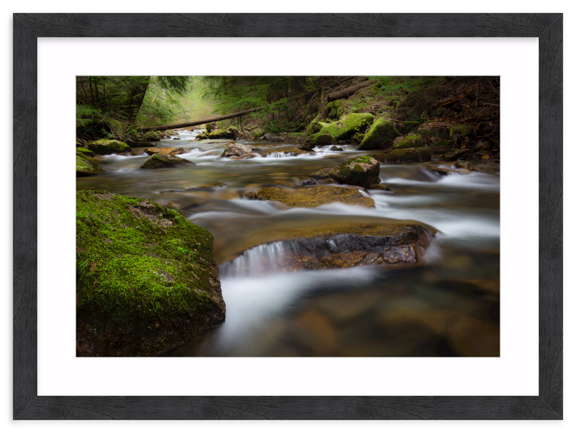 Black Walnut (Wide) / 33" x 22" | small waterfall creek