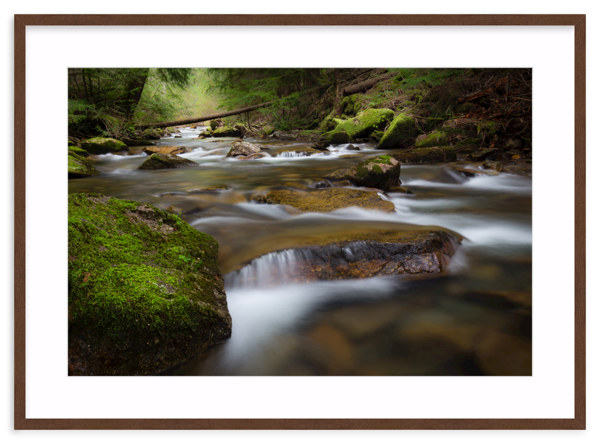 Walnut Gallery / 33" x 22" | small creek with waterfall