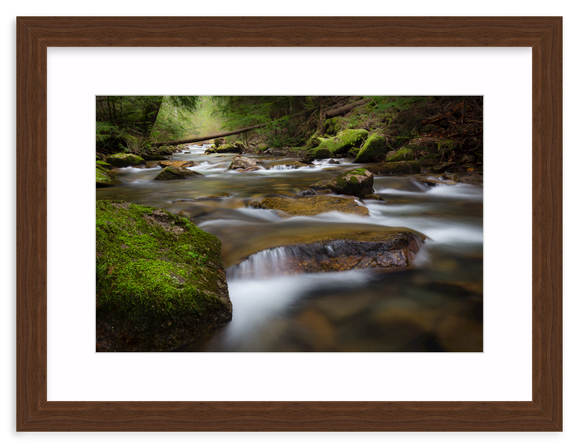 Walnut Wide / 24" x 16" | Small waterfall in creek 
