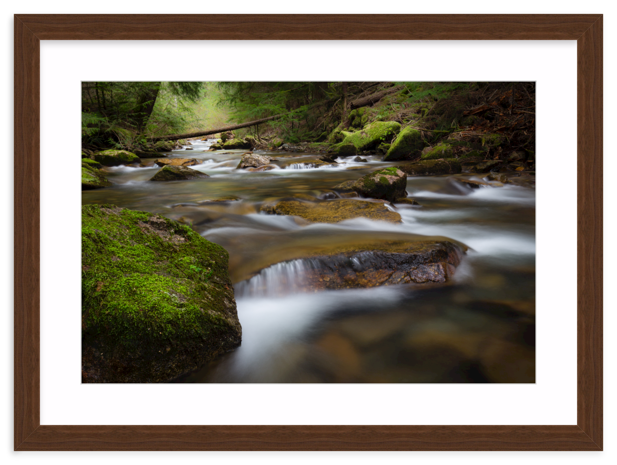 Walnut Wide / 33" x 22" | small waterfall in creek