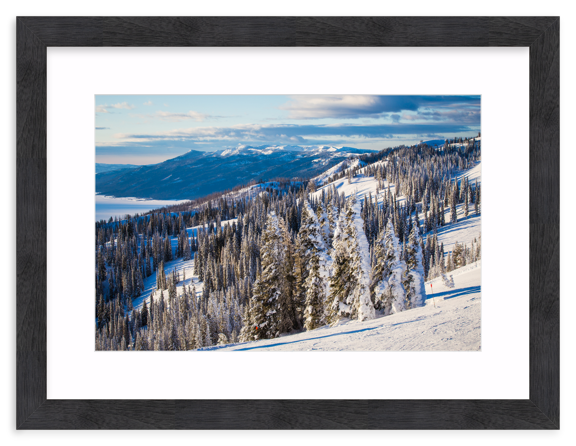 Black Walnut (Wide) / 24" x 16" | snowy tree mountain
