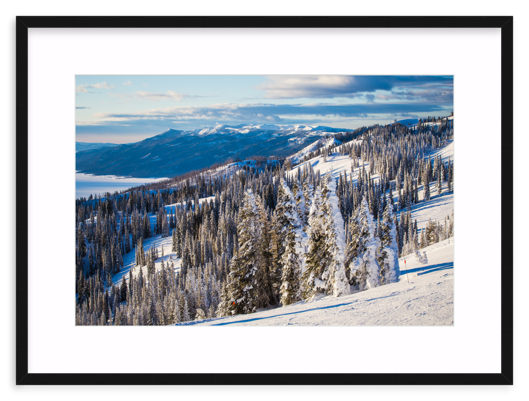 Mercer Slim / 24" x 16" | snowy mountain tree
