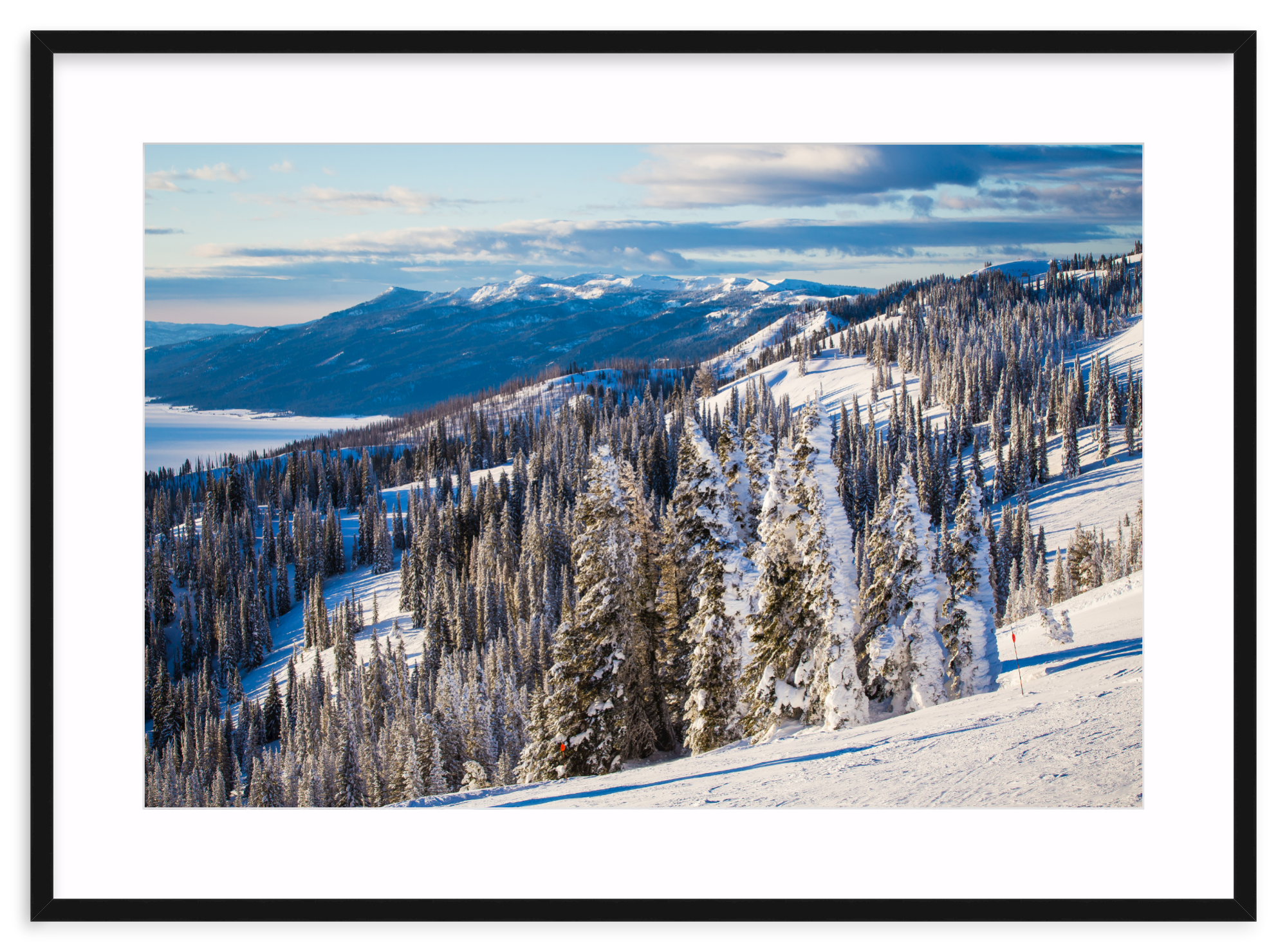 Mercer Slim / 33" x 22" | snowy mountain tree