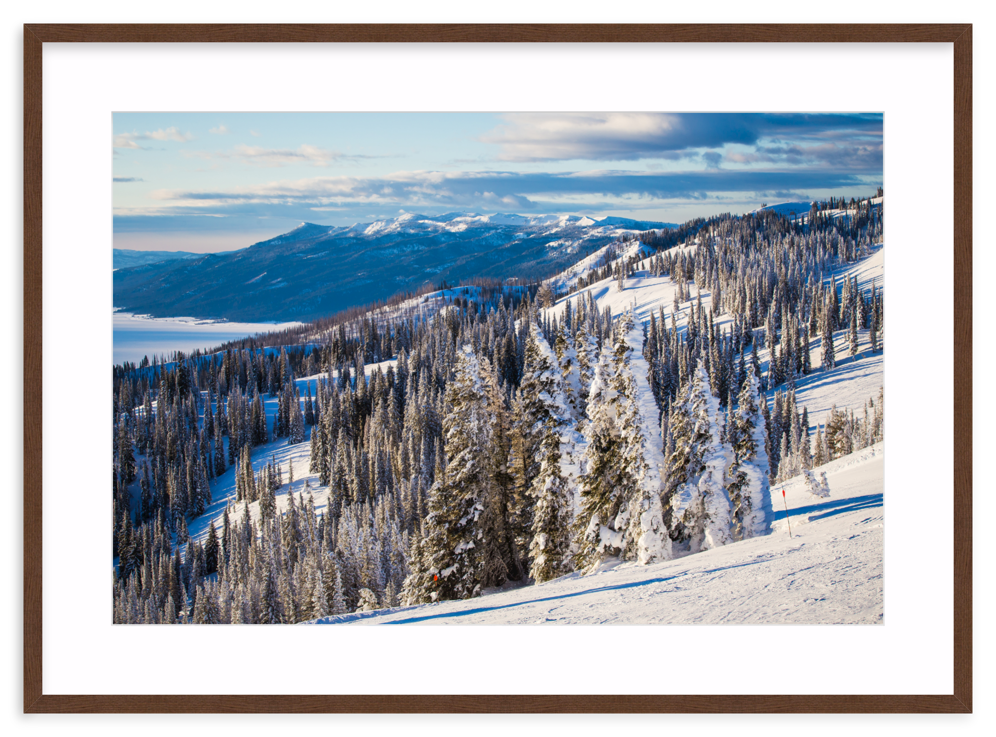 Walnut Gallery / 33" x 22" | snowy tree