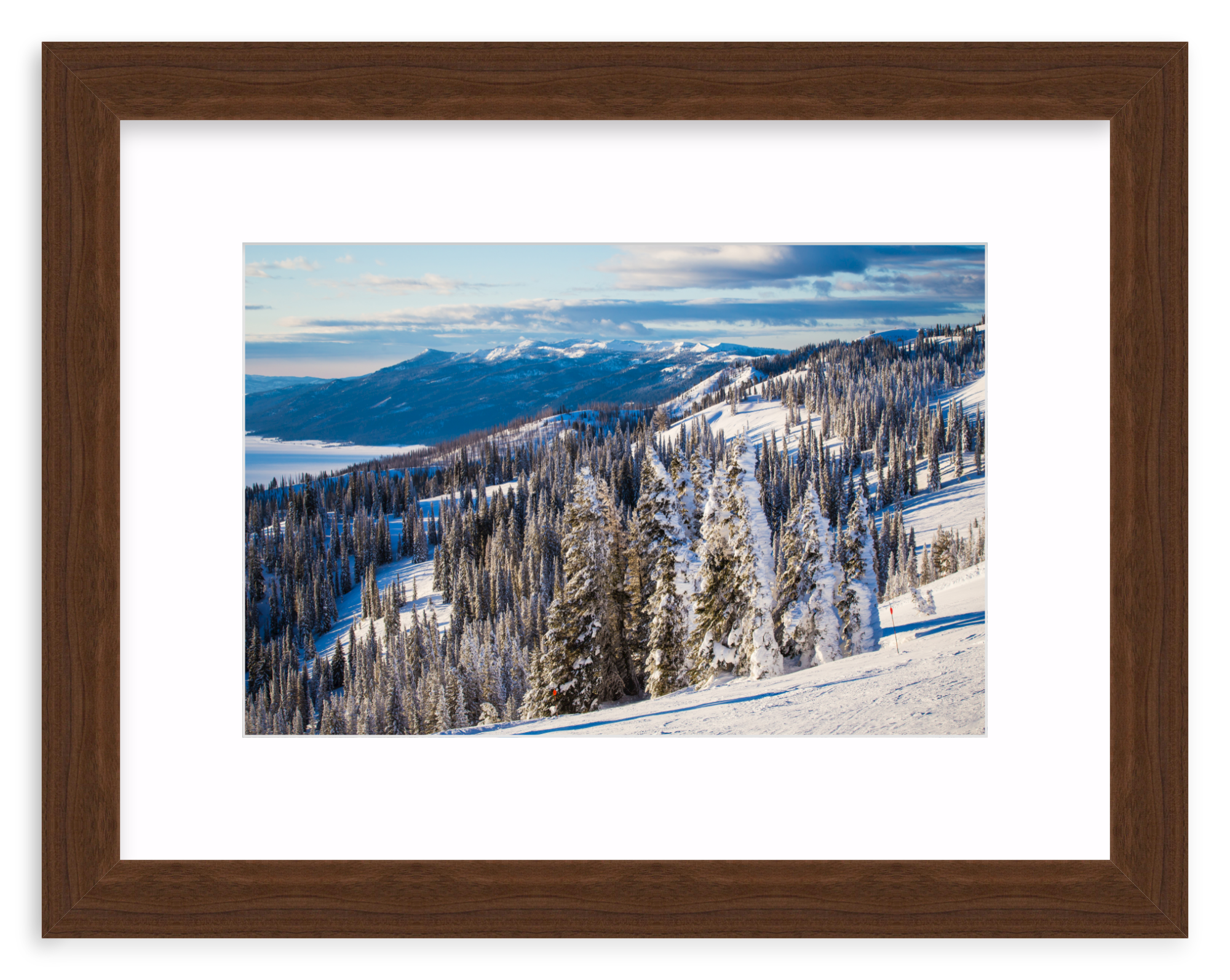 Walnut Wide / 18" x 12" | mountain snow tree