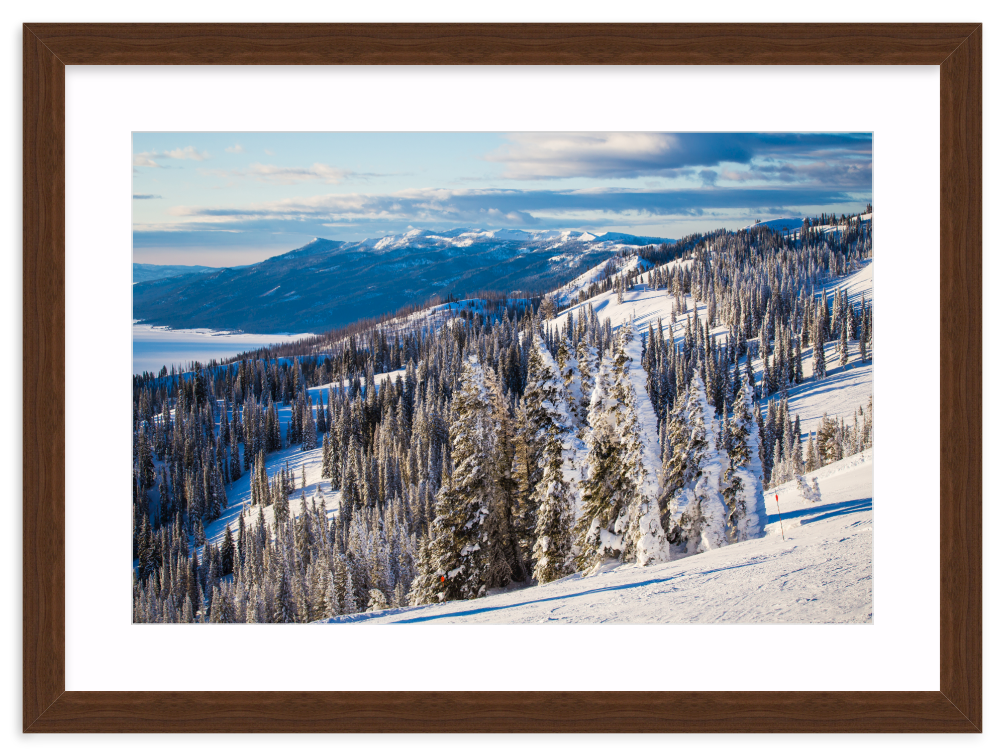 Walnut Wide / 33" x 22" | snowy tree mountain