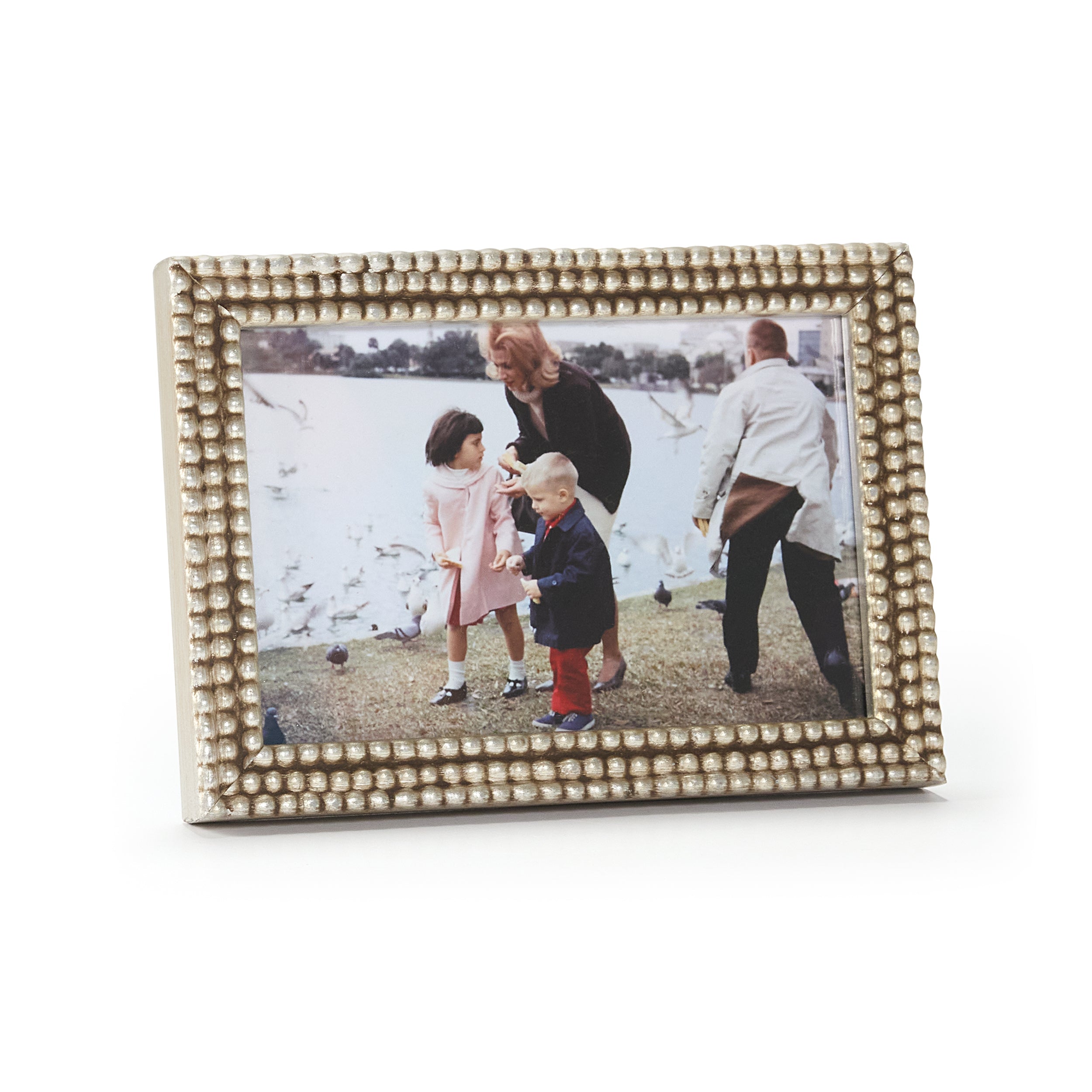 Landscape | Silver frame with a vintage photo